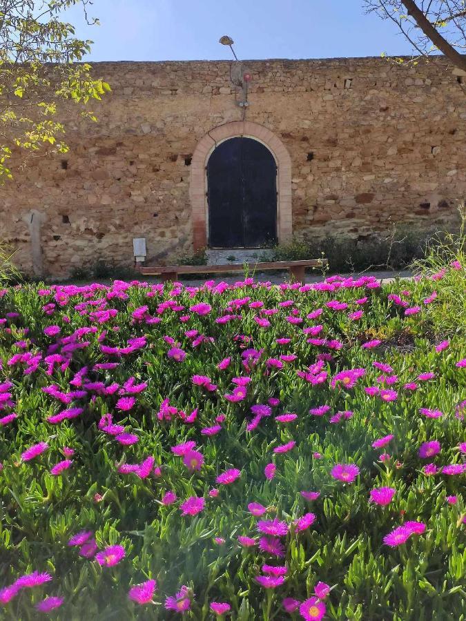 Finca Las Rosas De Santa Ana Villamartín Extérieur photo