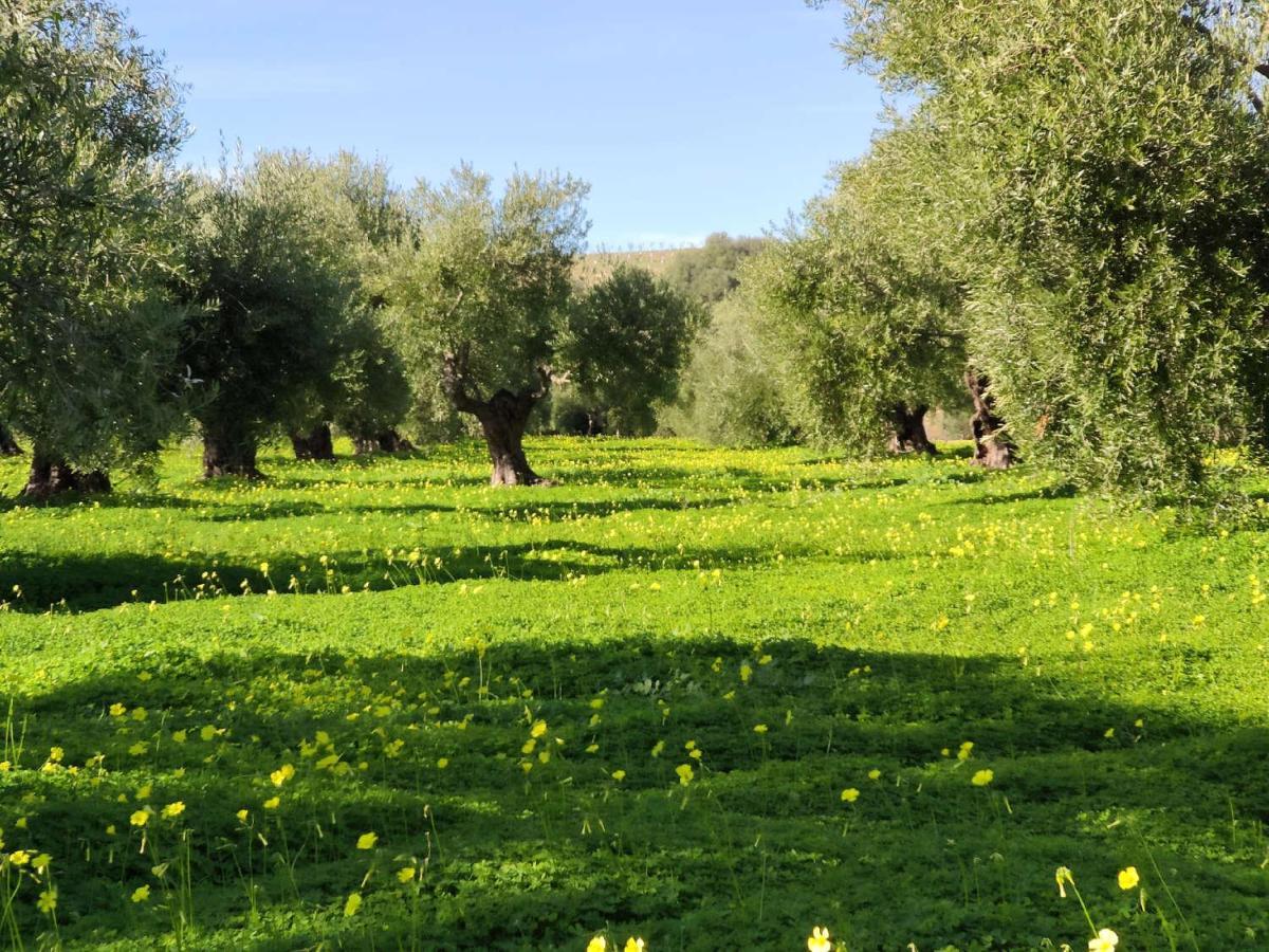 Finca Las Rosas De Santa Ana Villamartín Extérieur photo