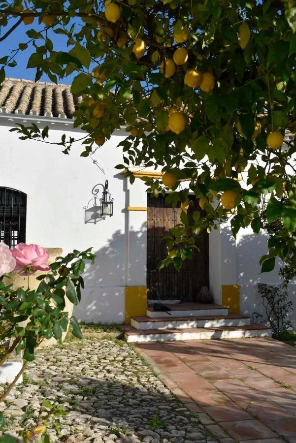 Finca Las Rosas De Santa Ana Villamartín Extérieur photo